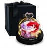Preserved eterna rosa - scatola di vetro con luce - Giorno di San Valentino / regalo di nozze