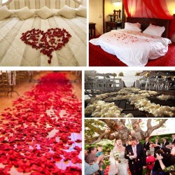 Petali di cuori raso - confetti - matrimoni / tavoli / letti / decorazione di San Valentino - 100 pezzi - 35mm
