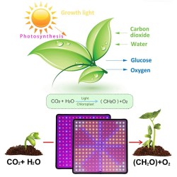 LED plant grow light - full spectrum - phyto lamp - 1000W - AC85-240VGrow Lights