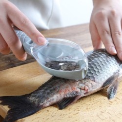Fish cleaning - scraping scales tool