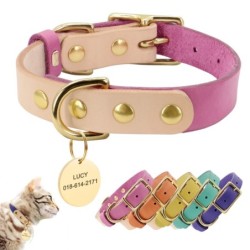 Dog - cat collar pet collar - engraved with name - ID tags - for small animals