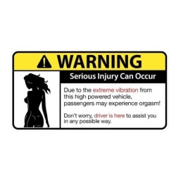 Adesivo per auto divertente - "Sexy Girl Warning Serious Injury Can Occur"