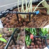 Micro kit di irrigazione a goccia - piante/sistema di irrigazione del giardino - 5m - 15m - 25m