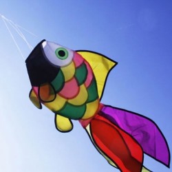 Pesce arcobaleno - aquilone