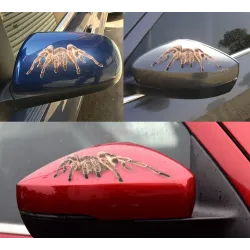 3D spider & scorpion & lizard - car sticker - decalStickers
