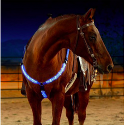L'imbracatura del petto della cinghia del cavallo del LED